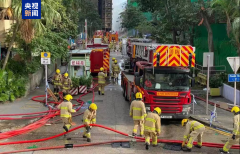 <strong>大埔火警综述丨齐</strong>